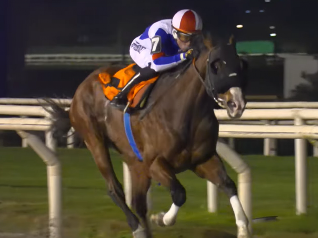 Foto: L'Intrigatore vence listed race, em Maroñas