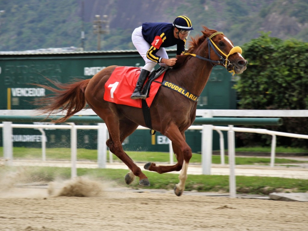 Foto: Padrão de qualidade, L'Ente Supremo vence o GP Salgado Filho (G3)