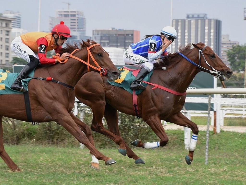 Foto: Maximal vence o Handicap Teothônio Piza Lara