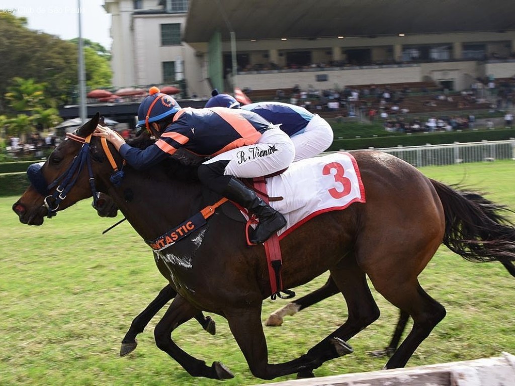 Foto: De ponta a ponta, Gipóia vence o GP Luiz Fernando Cirne Lima (G3)