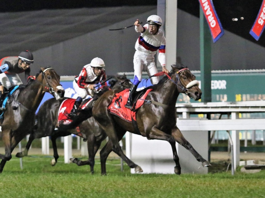 Foto: Zucca Baby confirma status de potro "diferente" no GP Jockey Club de São Paulo (G1)