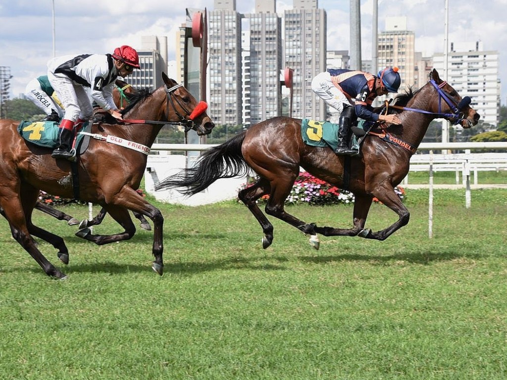 Foto: Nine vence o Handicap Especial immensity