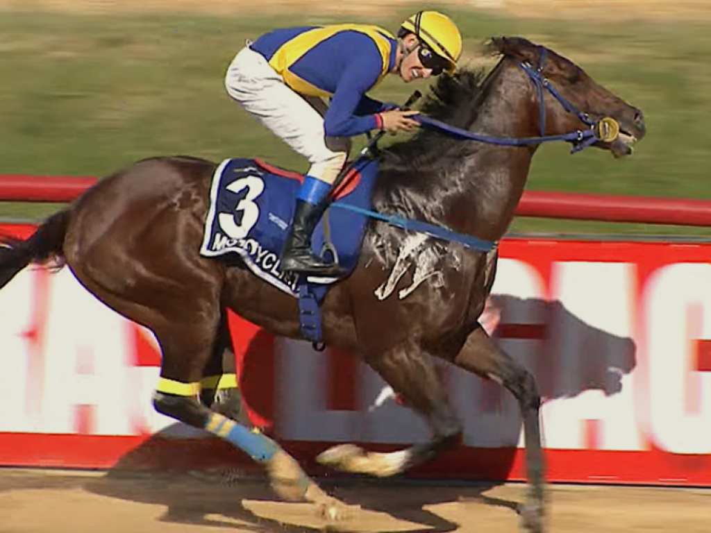 Foto: Motocycliste conquista o "bi" do GP Presidente da República (L) - TBS International