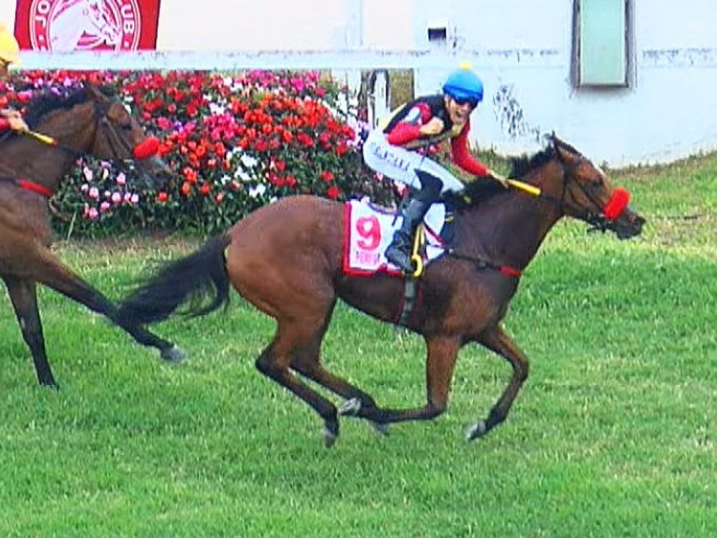 Foto: Perfect Plastic conquista seu merecido G1 no Grande Prêmio Diana