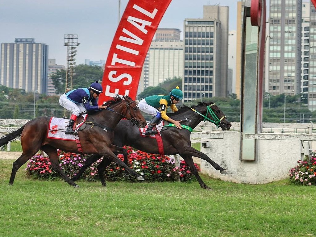 Foto: Entre as éguas, melhor para Bubble O'Gold