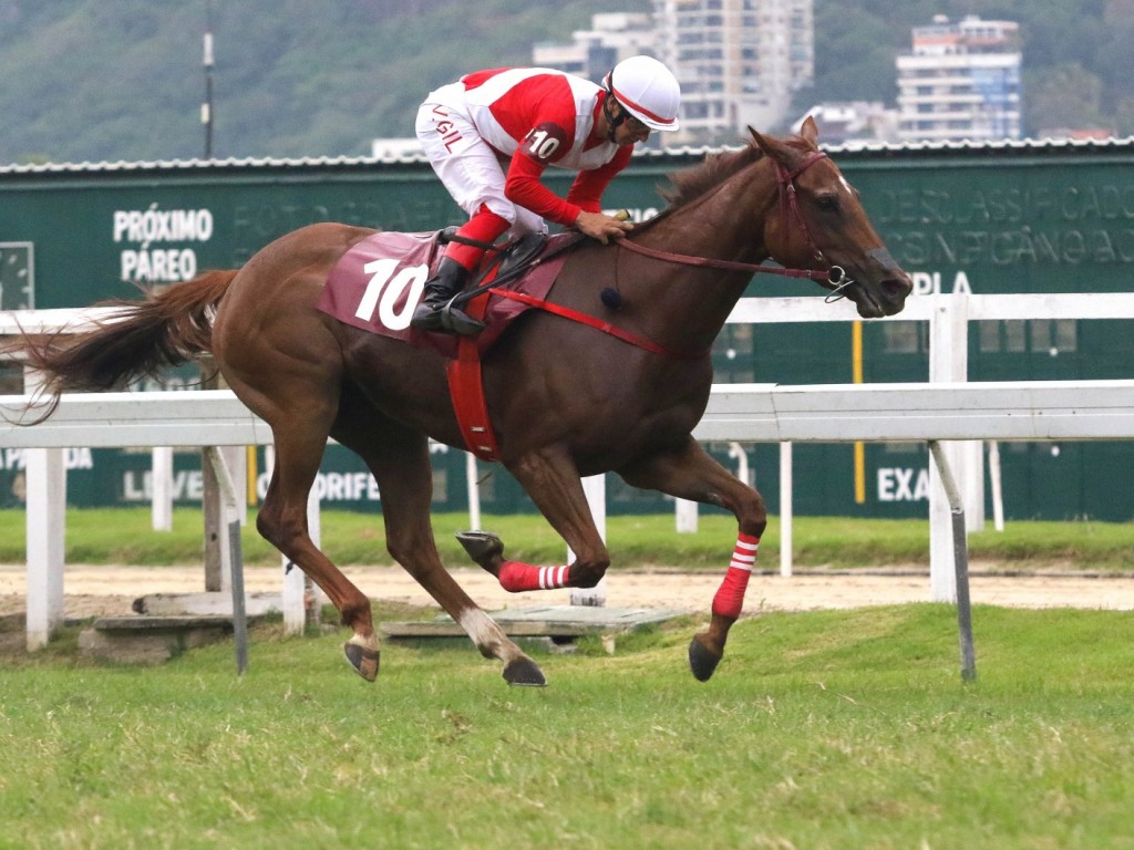 Foto: No GP Armando Rodrigues Carneiro (G3), o batismo clássico de Gevrey-Chambertain