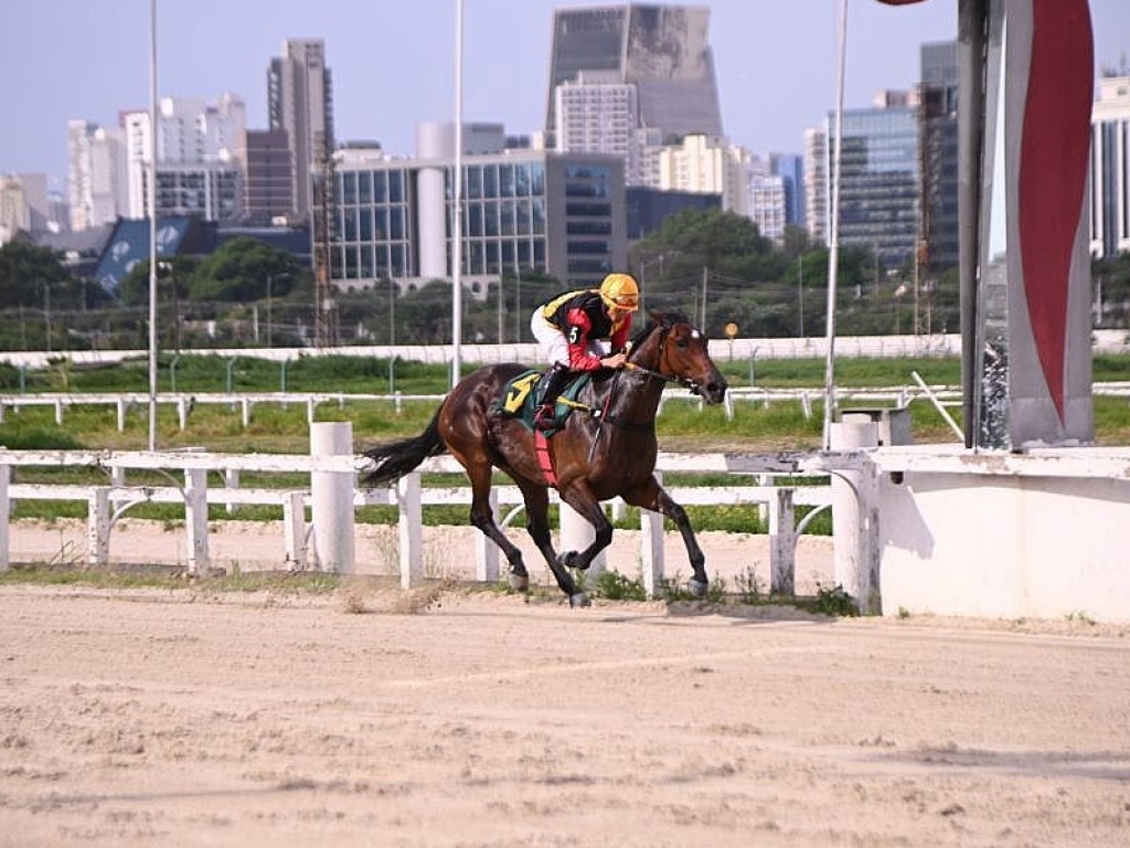 Foto: Shallow Now: mais uma vitória para a coleção