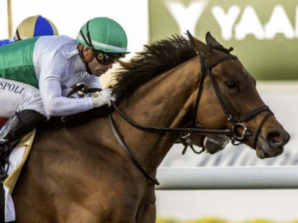 Foto: Estados Unidos: Sun of Hill entra quarto em prova de G3