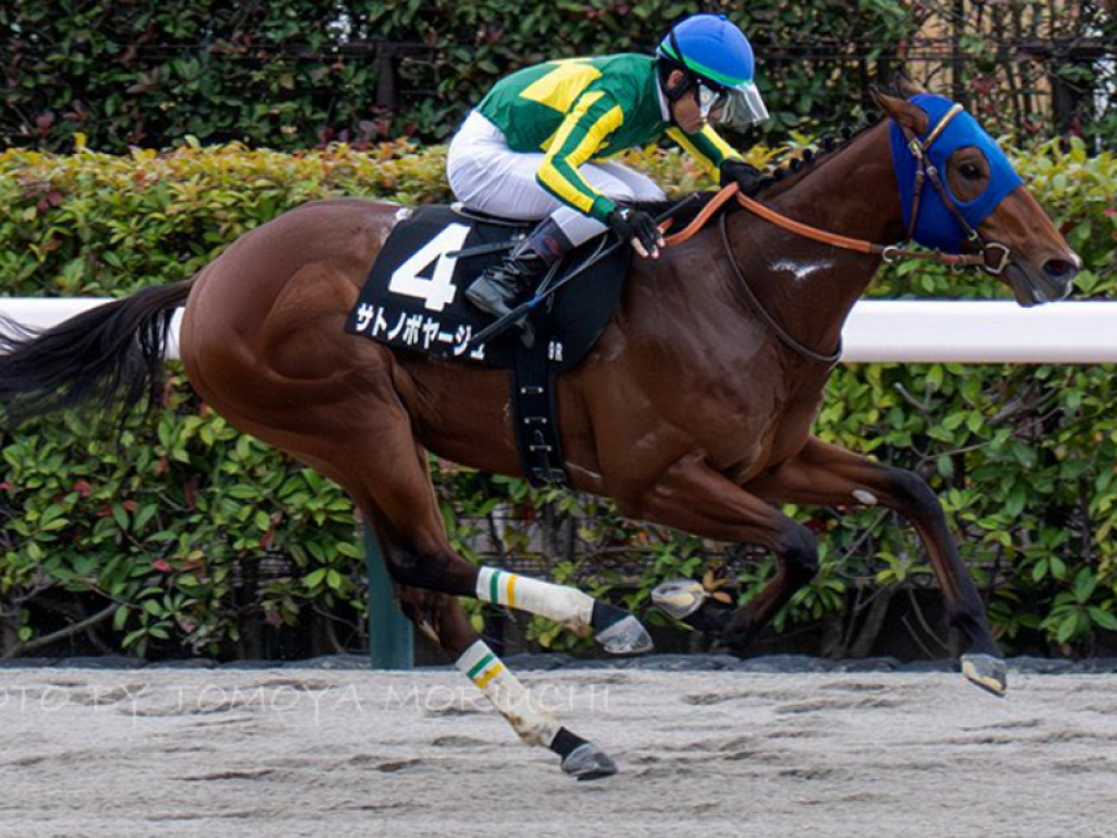 Foto: Japão: filho de Jolie Olímpica vence stakes e soma pontos para o Kentucky Derby