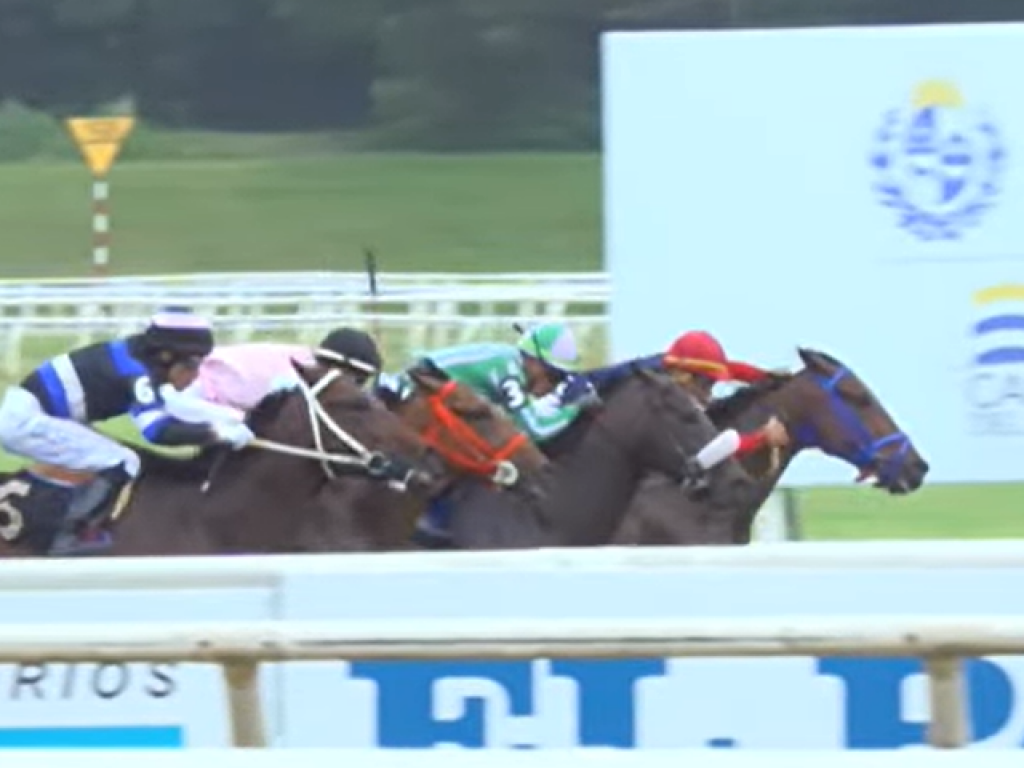 Foto: Maroñas: Machine Machinist vence o Handicap Especial Potri Flash