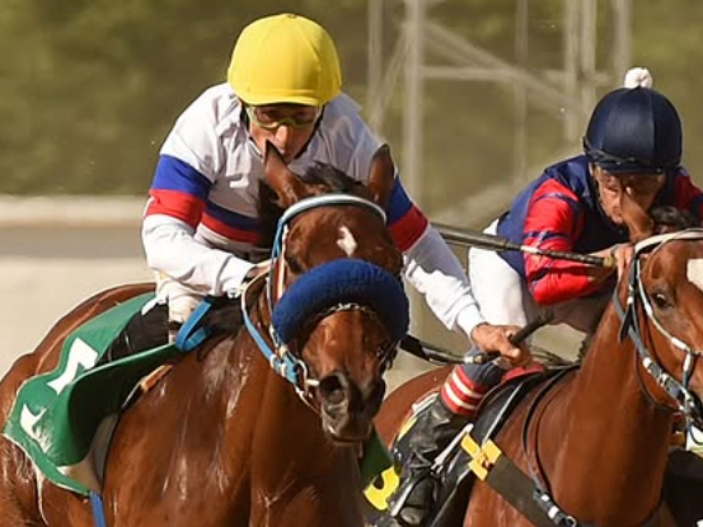 Foto: Cristal: Venice Queen obtém 1ª vitória, diretamente, no Clássico Câmara Municipal