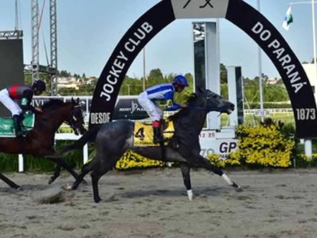 Foto: Oleopardo atropela com sucesso, no Clássico Governador do Estado (L)