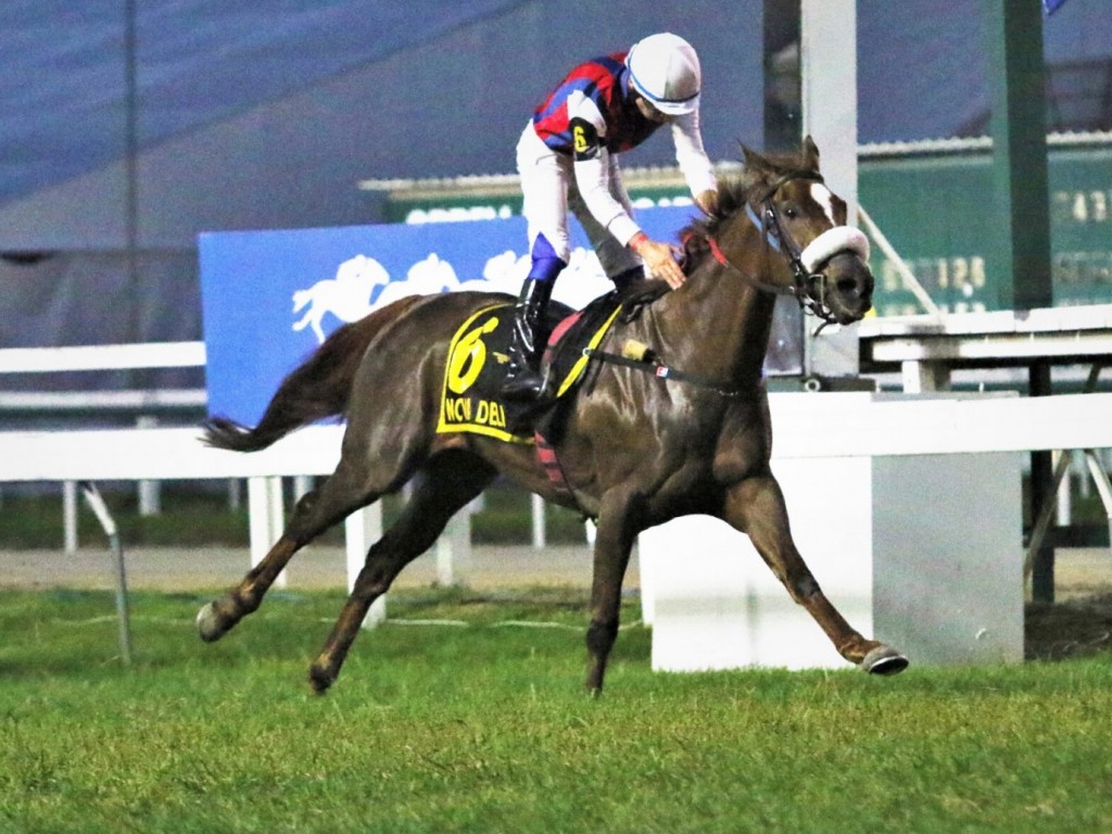 Foto: Num "Linneo" atípico, um G1 "de presente" para encerrar o 2025 do turfe brasileiro