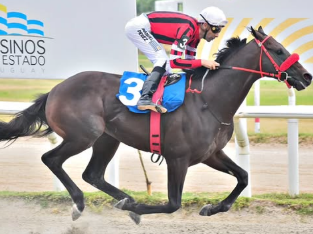 Foto: Uruguai: Mr. Can encerra 2025 com vit&oacute;ria em cl&aacute;ssico