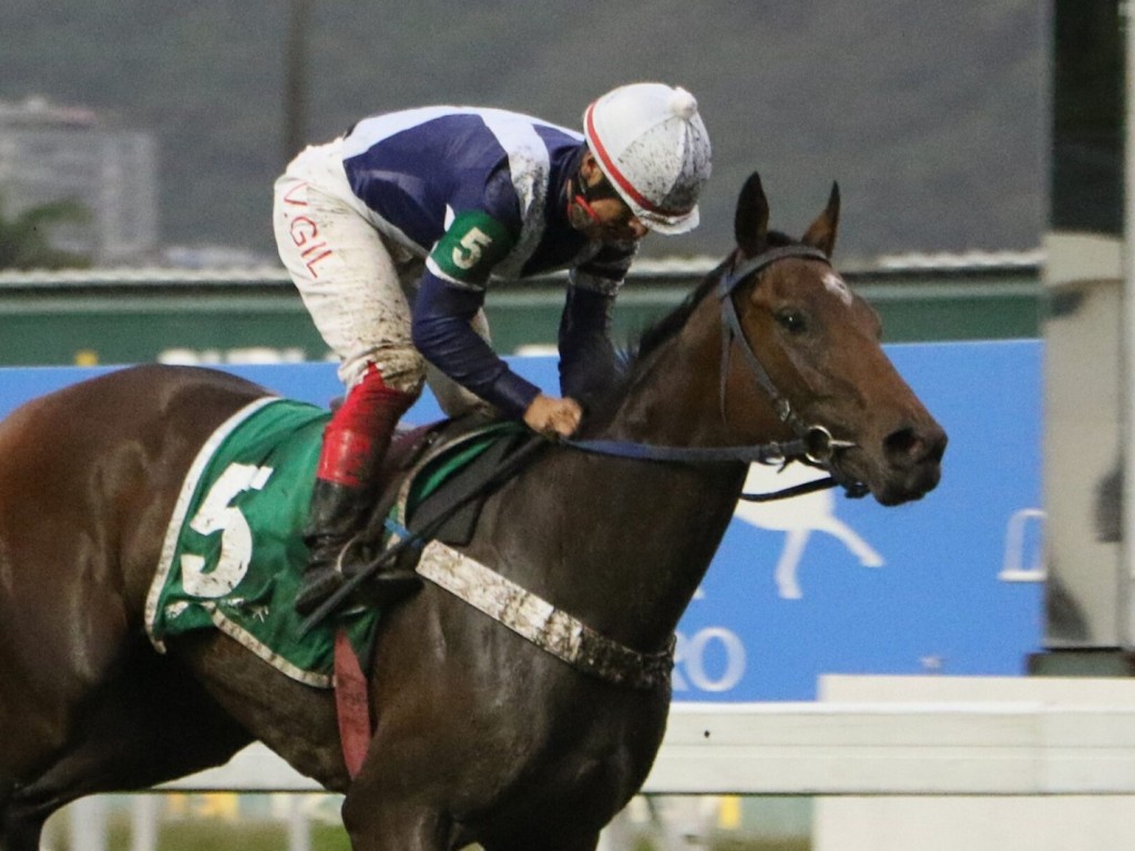 Foto: Em reaparecimento de luxo, Oh Promise Me conquista o GP Roger Guedon (G3)