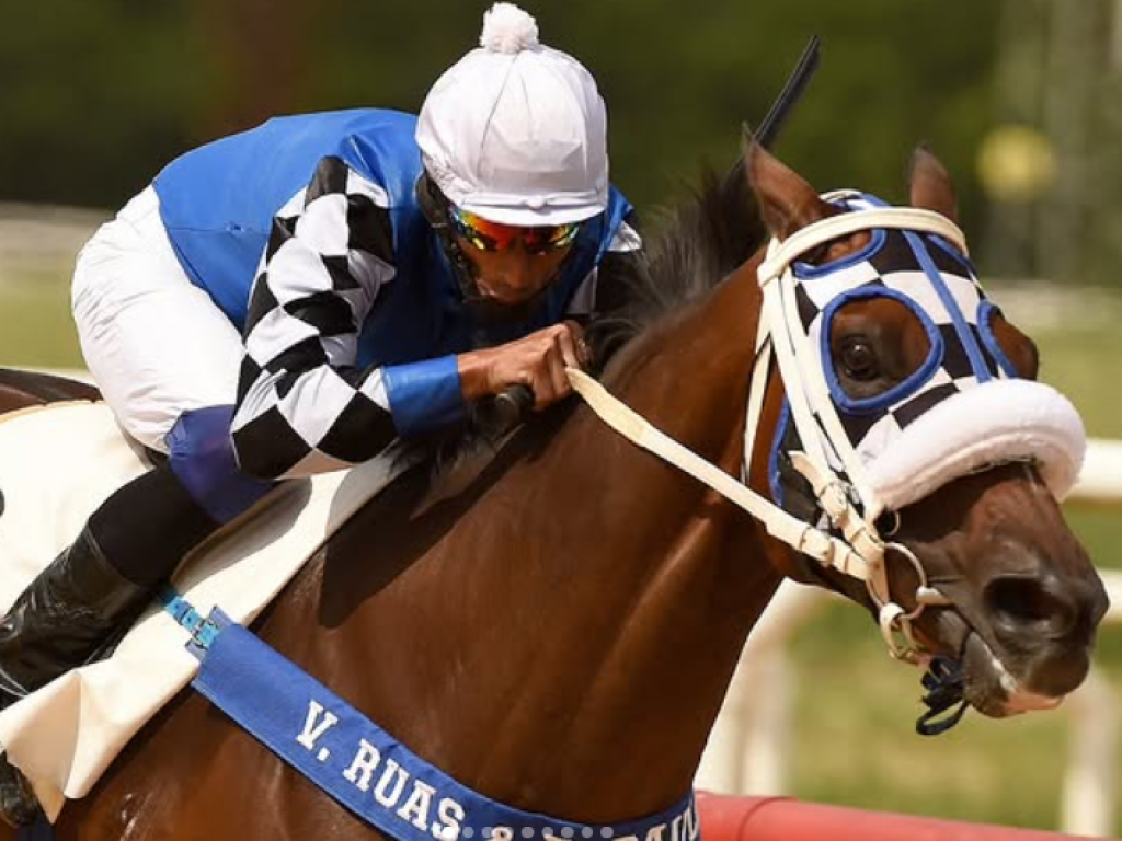 Foto: Cristal: Gulf do Jaguarete e Lizarra dominam os cl&aacute;ssicos da semana
