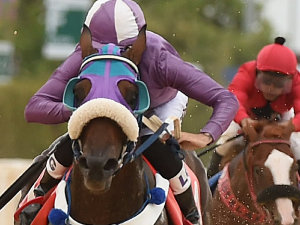 Foto: Galileu Corunilha esnoba redu&ccedil;&atilde;o de dist&acirc;ncia e vence, com autoridade, em Porto Alegre
