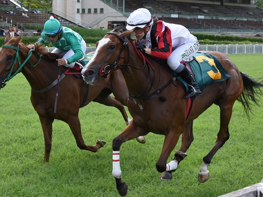 Foto: Olympic Puma derrota os machos no Handicap Especial Clackson