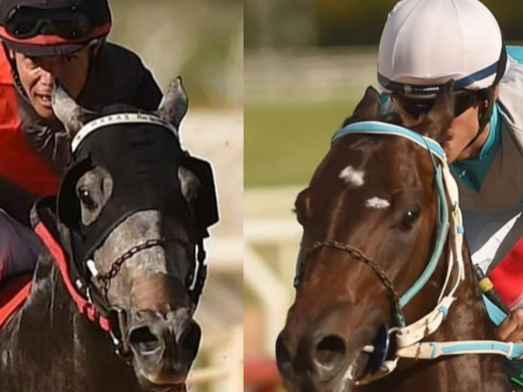 Foto: Twist do Iguassu e Georges: reencontro com hora marcada, na final da Copa Precocidade e Velocidade
