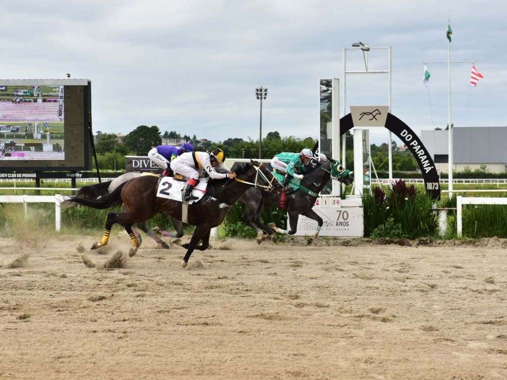 Foto: Minuano Pampa resiste a Nemo na Prova Especial Manoel Ribas