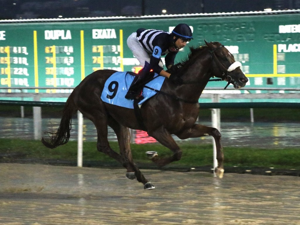 Foto: Olympic Pr&iacute;ncipe n&atilde;o d&aacute; chances aos advers&aacute;rios na Prova Especial Falcon Jet