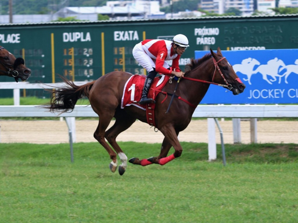 Foto: Gevrey-Chambertain larga e acaba no Cl&aacute;ssico Ant&ocirc;nio Carlos Amorim (L)