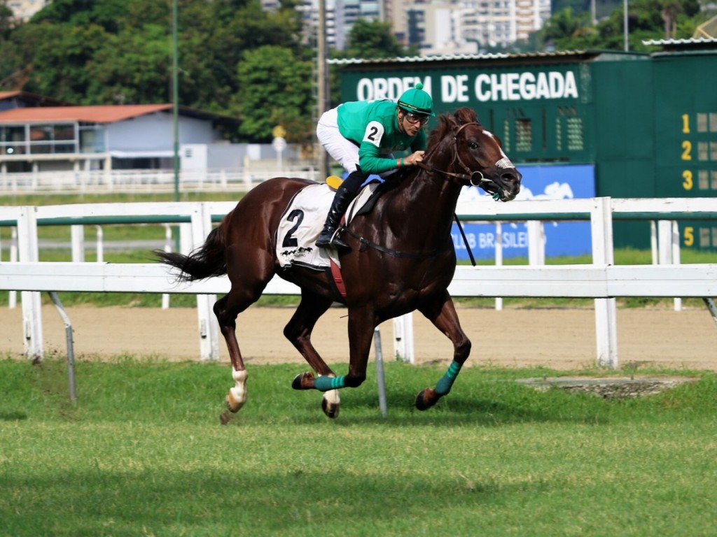 Foto: Na homenagem a Luiz Rigoni, Ronigol protagoniza reaparecimento de luxo