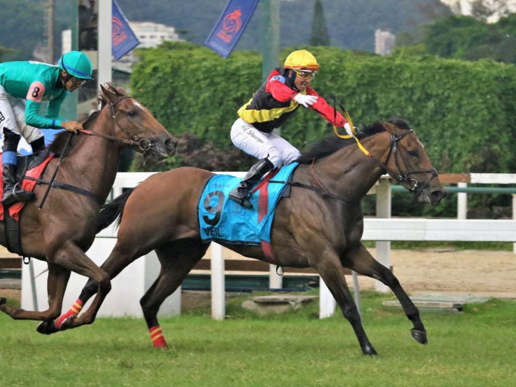 Foto: De volta &agrave; G&aacute;vea, Veil brilha no GP Henrique Possolo (G1) - Araras Blood & Power