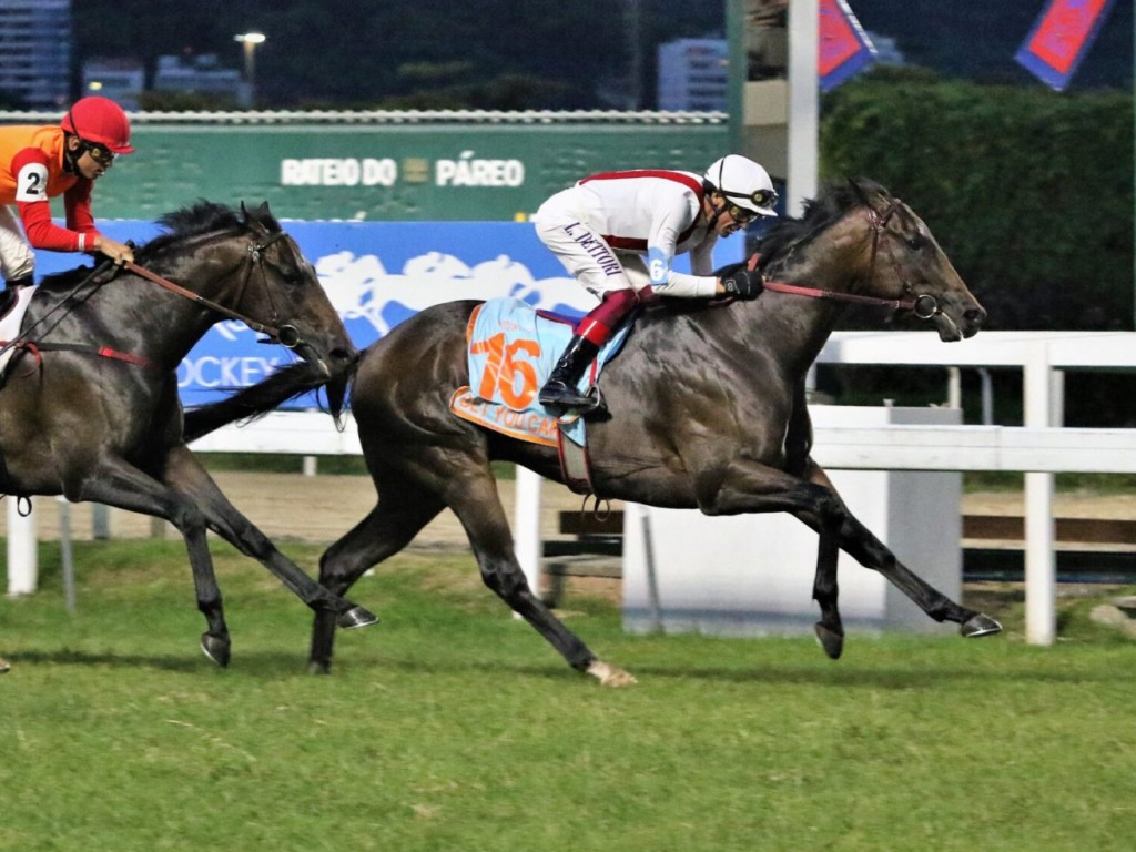 Foto: Com a m&aacute;gica de Dettori, Bet You Can levanta o GP Estado do Rio de Janeiro (G1) - Araras Blood & Power