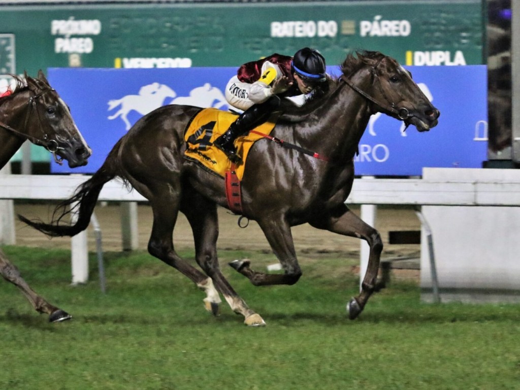 Foto: Wall Street completa o show de Luiz Esteves, no domingo carioca