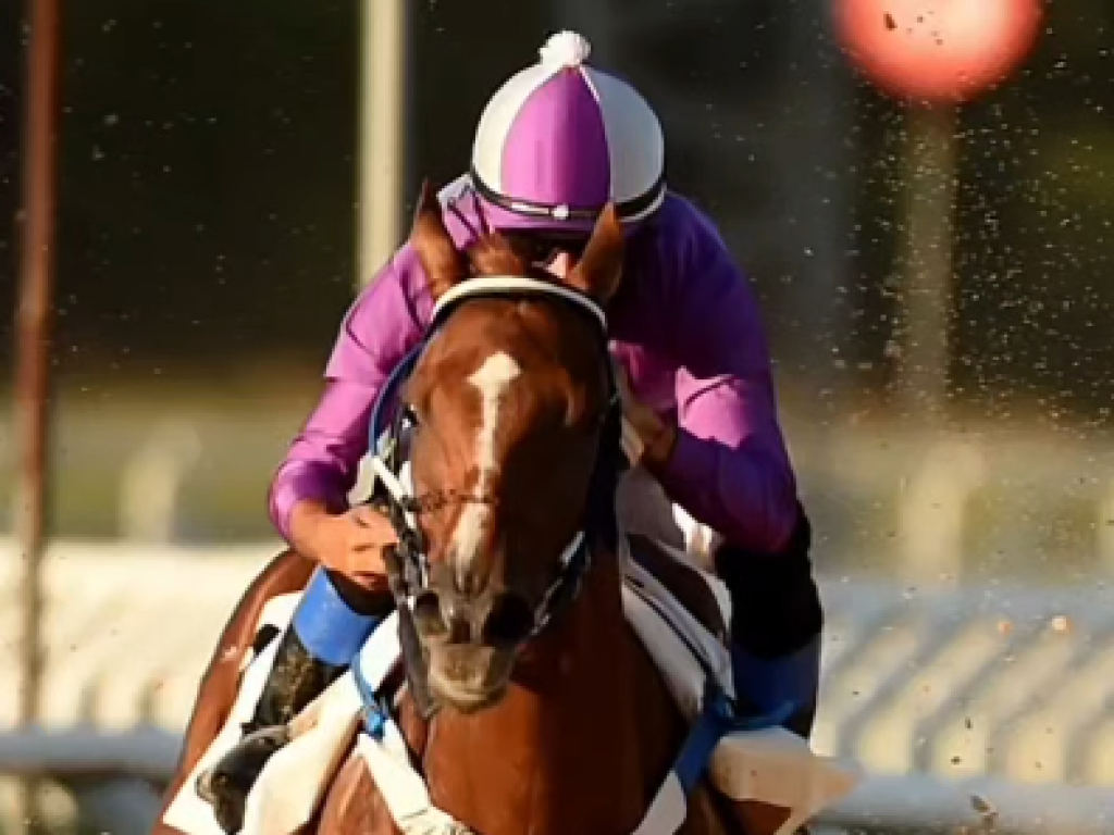 Foto: Nobility reencontra o caminho das vit&oacute;rias, em Porto Alegre