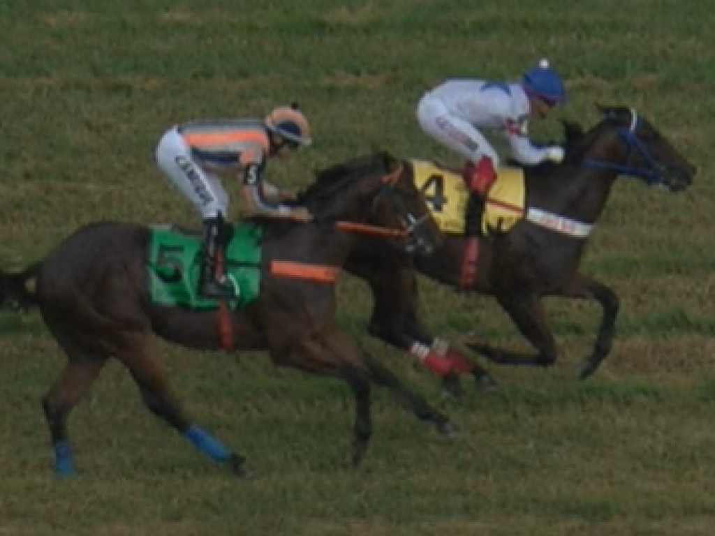 Foto: Ello Volare vence a segunda seletiva "paulista"