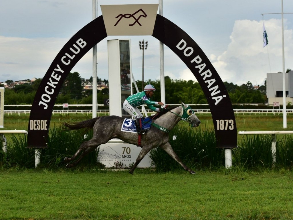 Foto: Copa Precocidade e Velocidade: New Seattle Charm domina a seletiva do Paran&aacute;