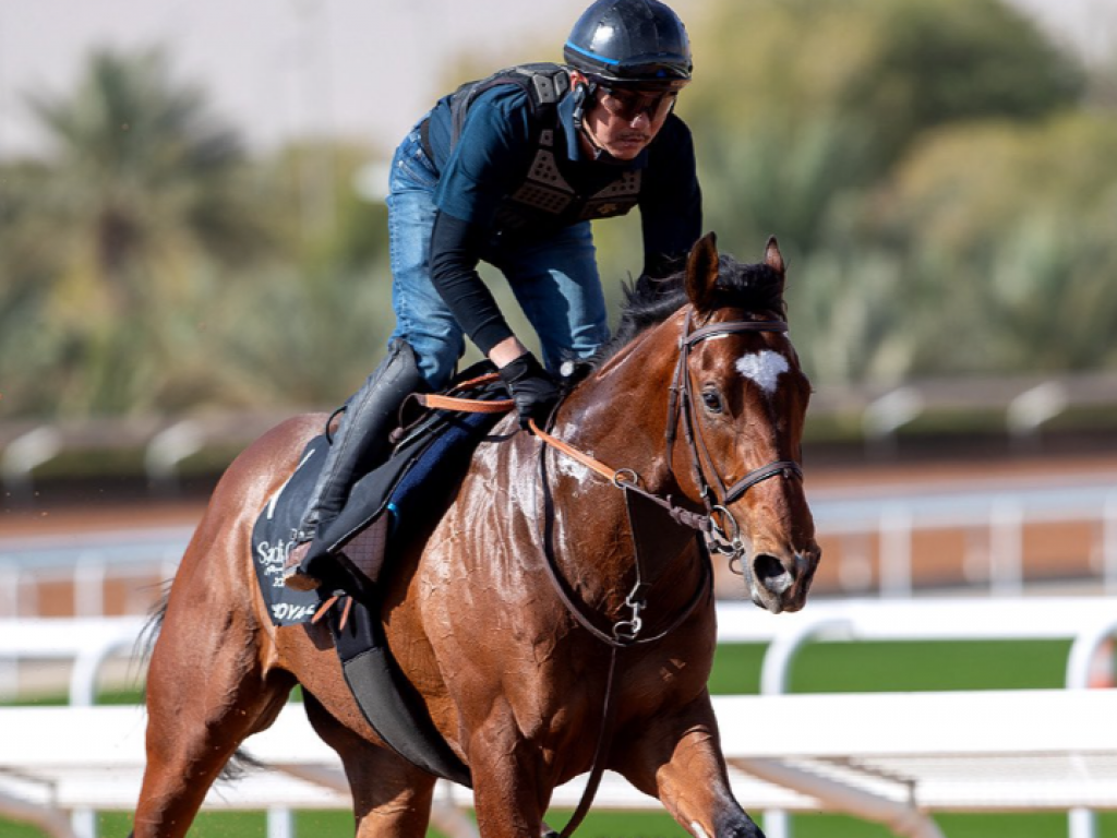 Foto: No festival da Saudi Cup, filho de Jolie Ol&iacute;mpica &eacute; um dos favoritos ao Derby