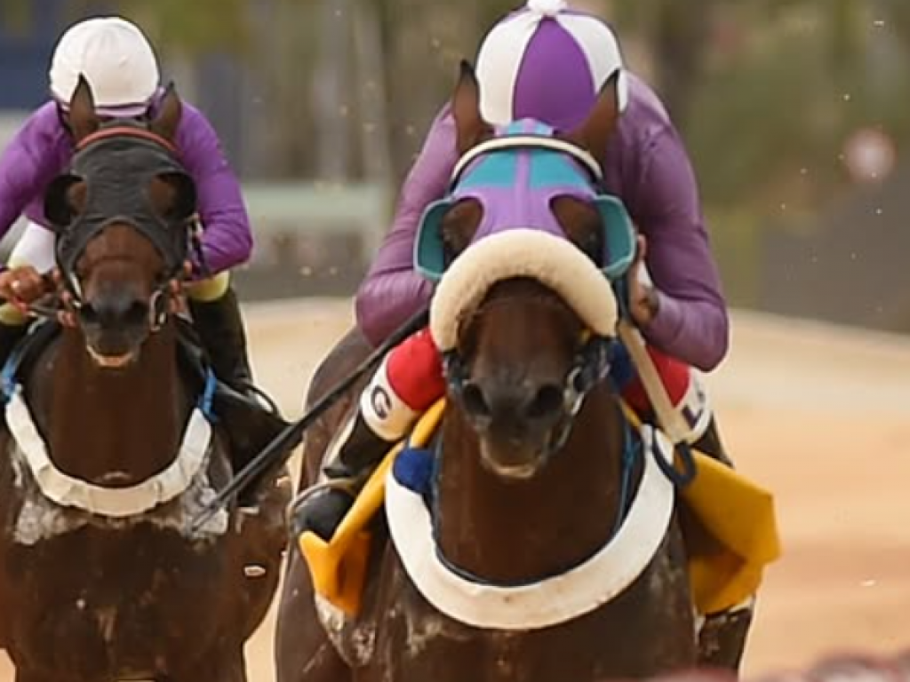 Foto: Galileu Corunilha: favorito que n&atilde;o d&aacute; susto, no Cl&aacute;ssico Estensoro
