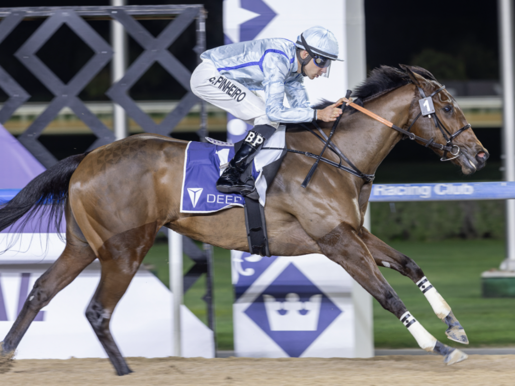 Foto: Brasileiros no exterior, por F&aacute;bio Zerbini (99&ordf; edi&ccedil;&atilde;o)