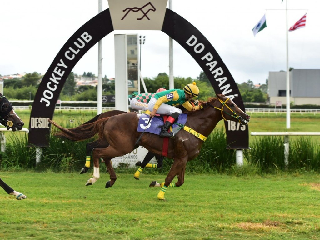 Foto: PR: Lions Heart vence a Prova Especial Pedro Al&iacute;pio Alves de Camargo