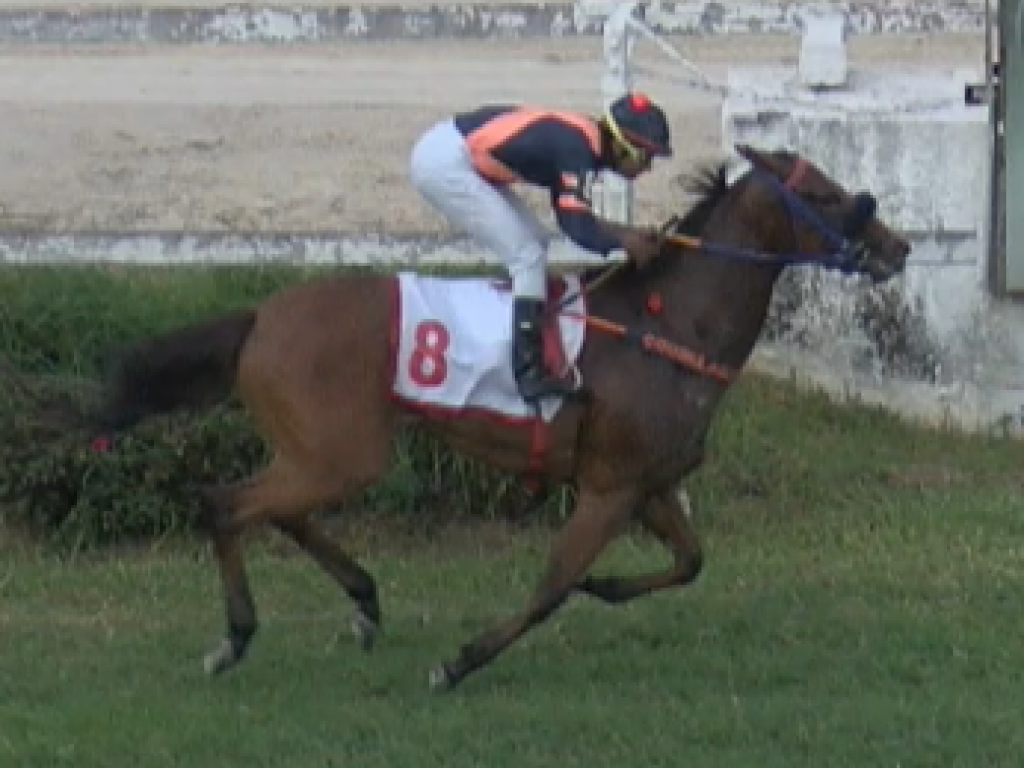 Foto: Hello Afleet vence e convence no GP Pres. Luiz Oliveira de Barros (G2)