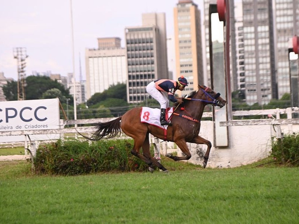 Foto: Hello Afleet vence e convence no GP Pres. Luiz Oliveira de Barros (G2)