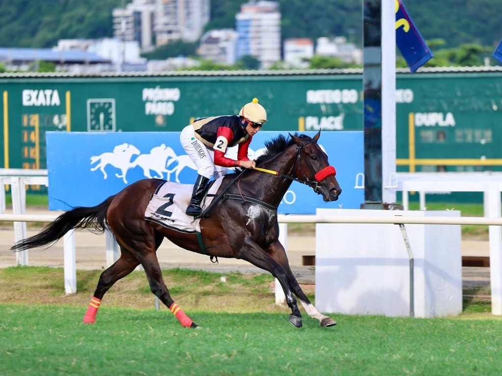 Foto: On The End produz exibi&ccedil;&atilde;o de gala, na G&aacute;vea