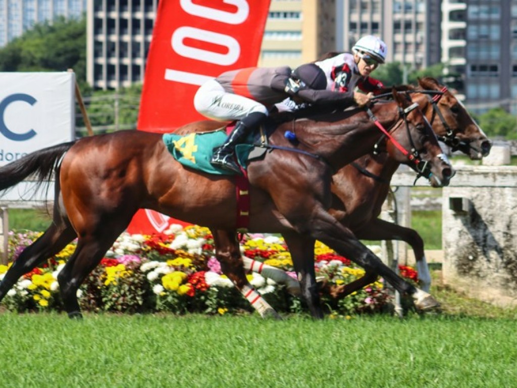 Foto: Pivot Central supera Obataye e vai ao GP Latinoamericano