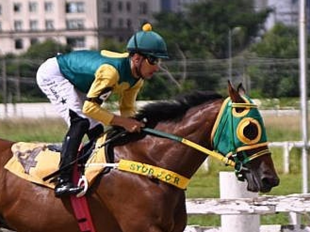 Foto: Entre as aren&aacute;ticas, Niamore desbanca Shallow Now