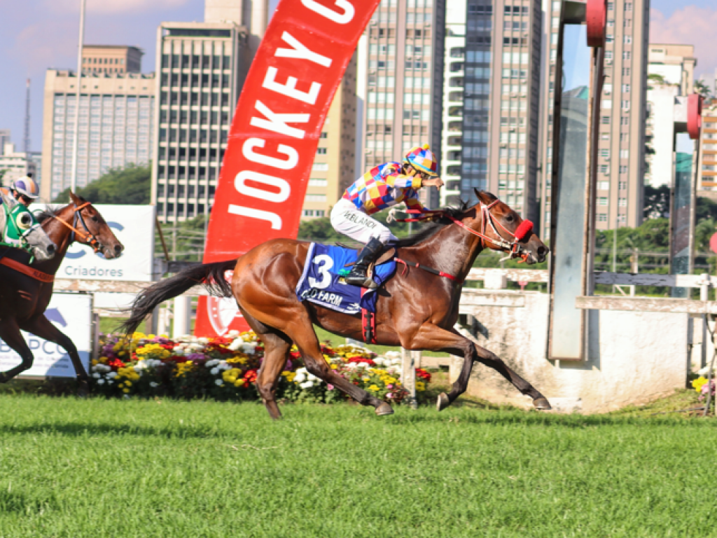 Foto: Old Farm: atropelada irresist&iacute;vel na Copa Precocidade e Velocidade ABCPCC