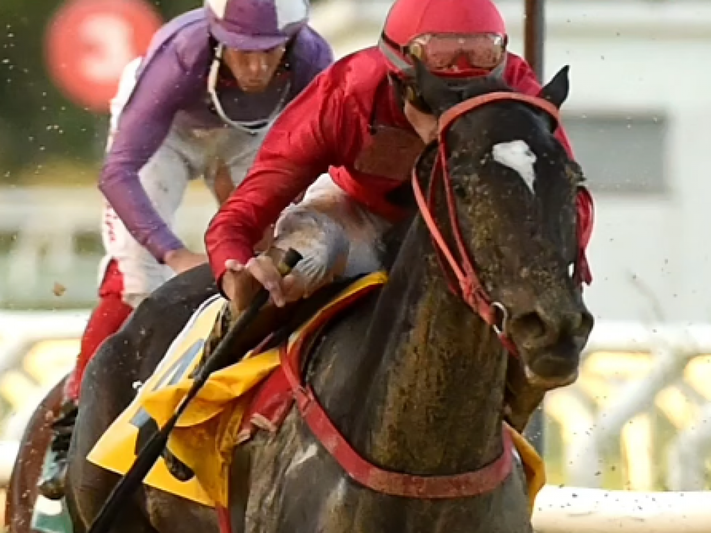 Foto: Expert De La C&ocirc;te supera Orquestra Bianca, em Porto Alegre