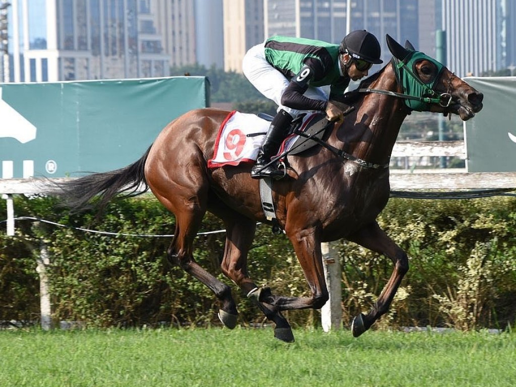 Foto: Na trilha do OSAF, Must Be Happy fatura prova de G2