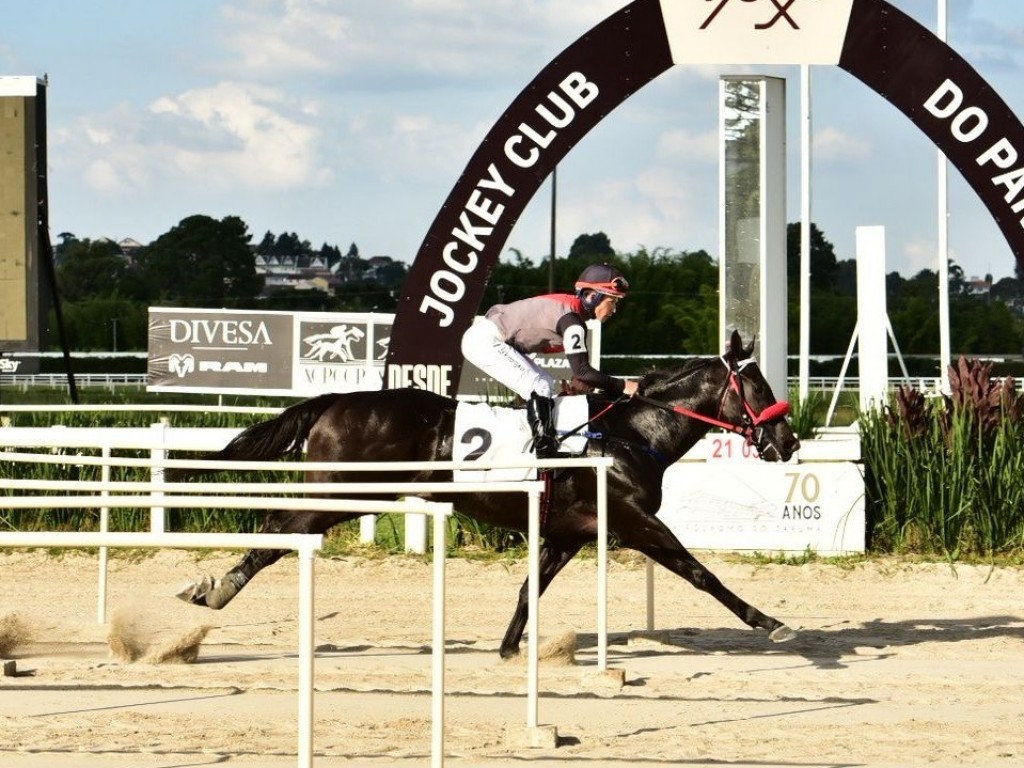 Foto: GP Turfe Paranaense 2026: resultado das seletivas