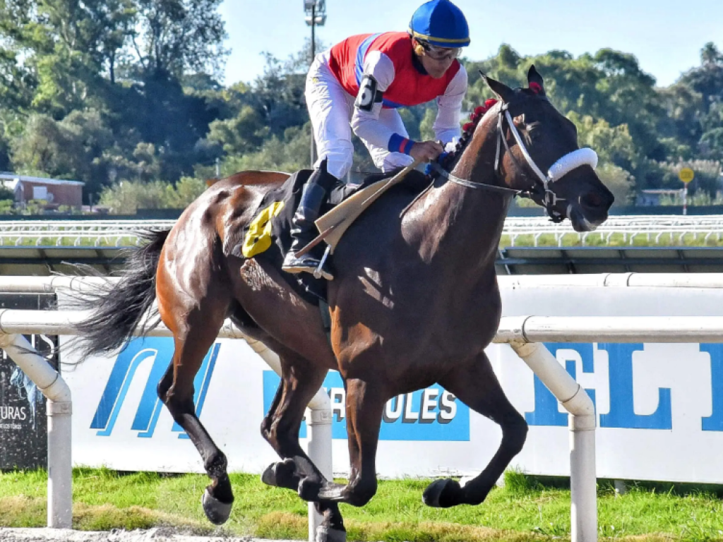 Foto: Maro&ntilde;as: brasileiros em festa, com Truco E Flor e T&aacute;-Valente