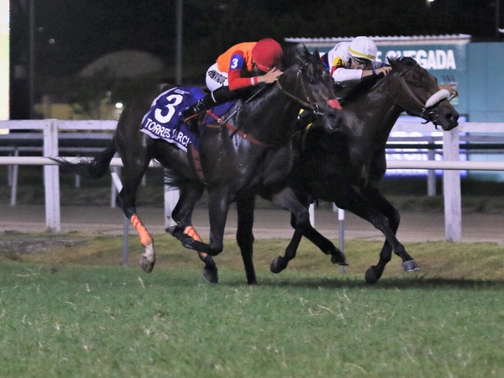 Foto: Desfechos das tr&iacute;plices coroas do Rio de Janeiro t&ecirc;m campos conhecidos