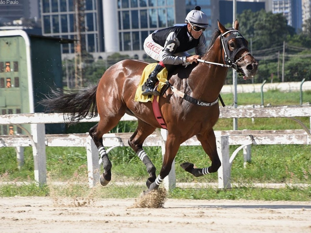Foto: Na areia, &Iacute;ndia Paraguaya segue sem conhecer derrota
