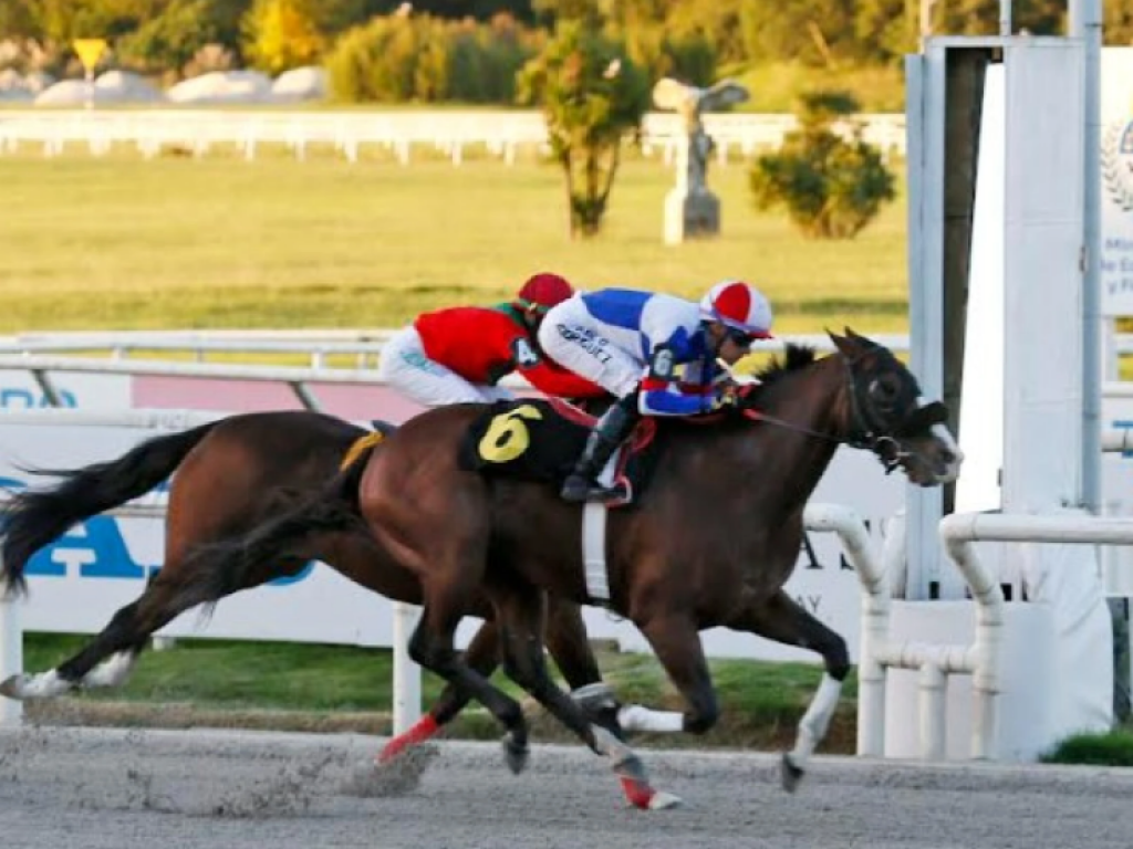 Foto: Maro&ntilde;as: L'Intrigatore vence o Cl&aacute;sico Jos&eacute; Martinelli Gomez (L)